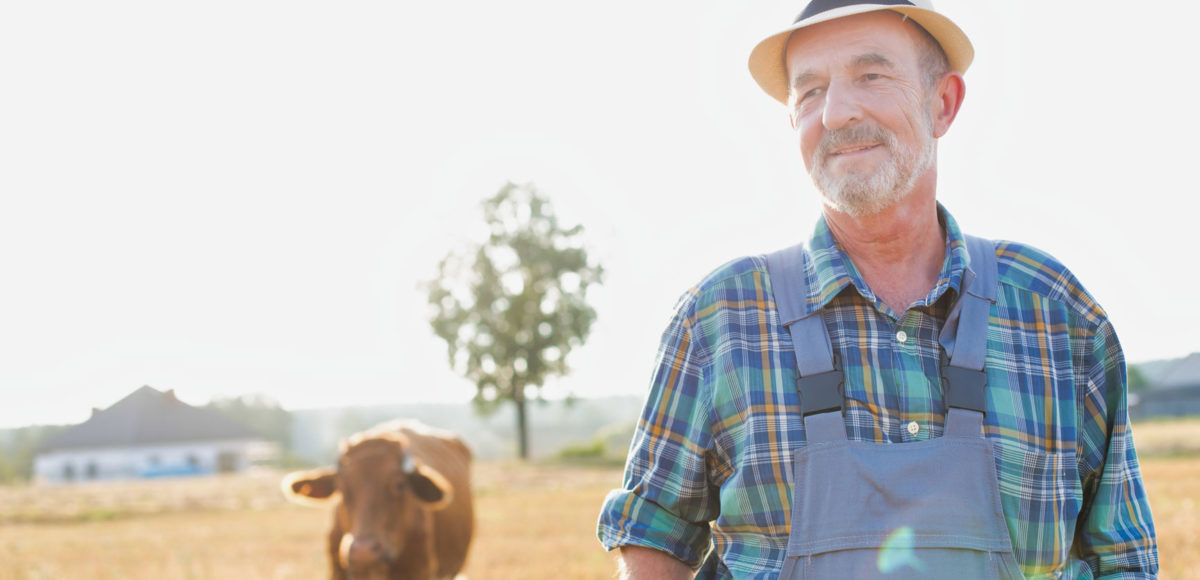 Überlassung der Landwirtschaft zu nicht kostendeckendem Pachtzins